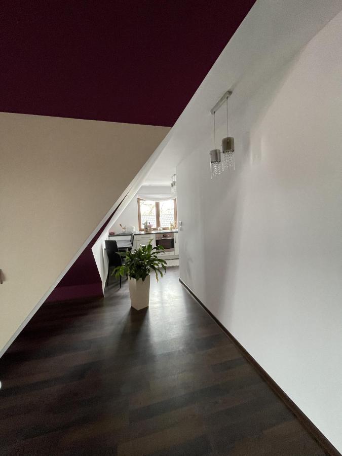 Apartament Podczerwone Czarny Dunajec Luaran gambar