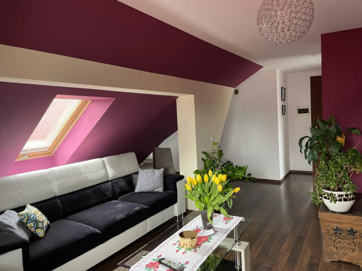 Apartament Podczerwone Czarny Dunajec Luaran gambar