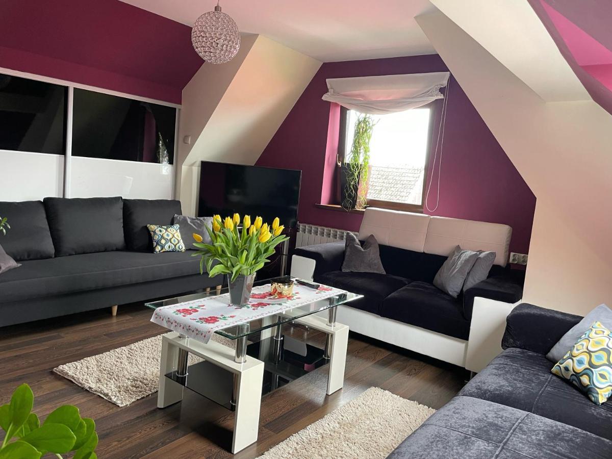 Apartament Podczerwone Czarny Dunajec Luaran gambar